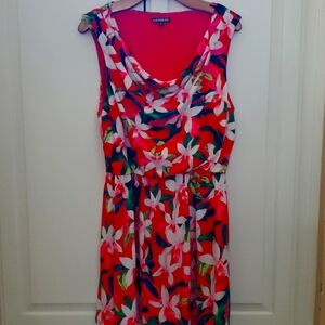 Express Floral Dress